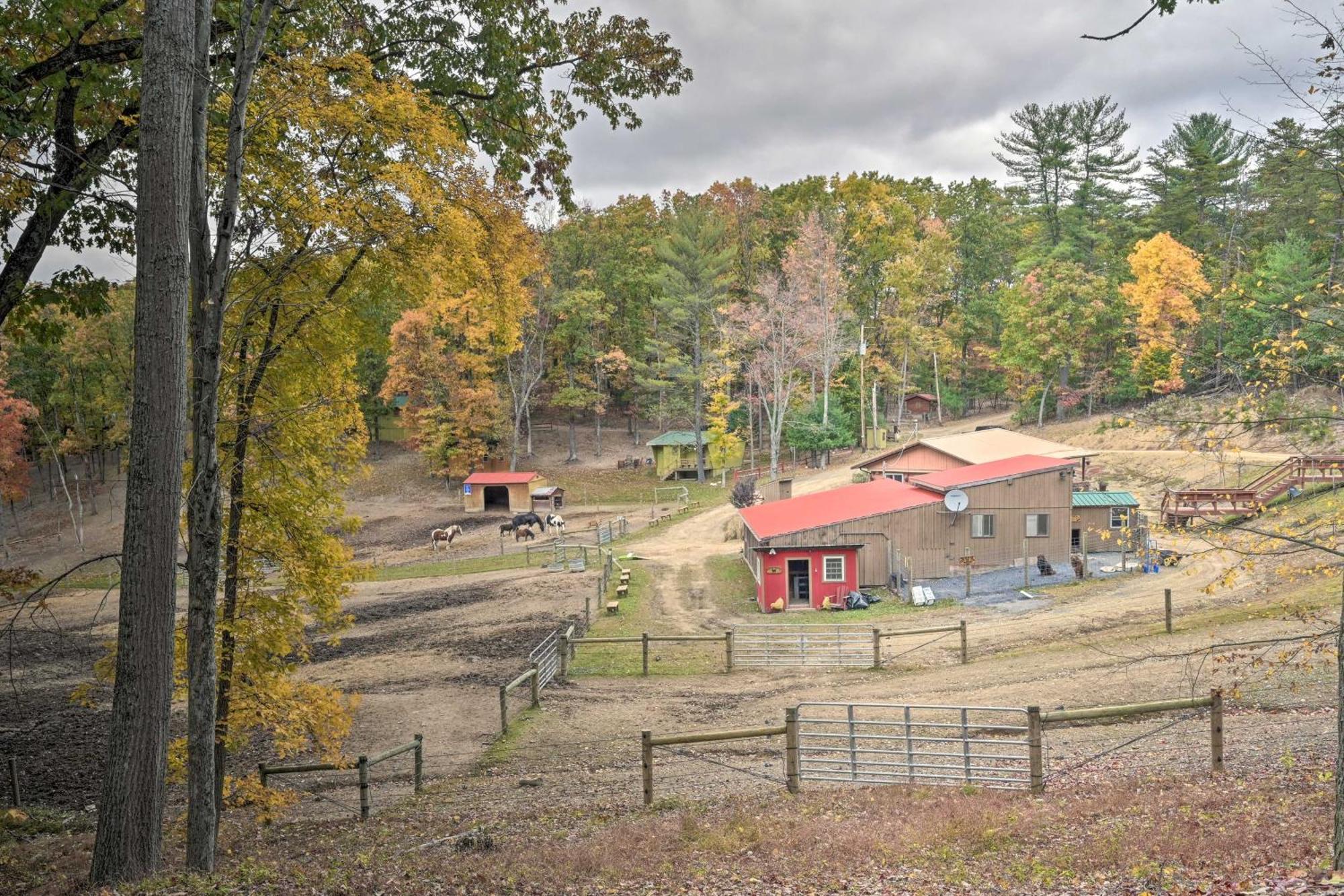 Lone Ranger Cabin With 50 Acres By Raystown Lake Huntingdon Εξωτερικό φωτογραφία