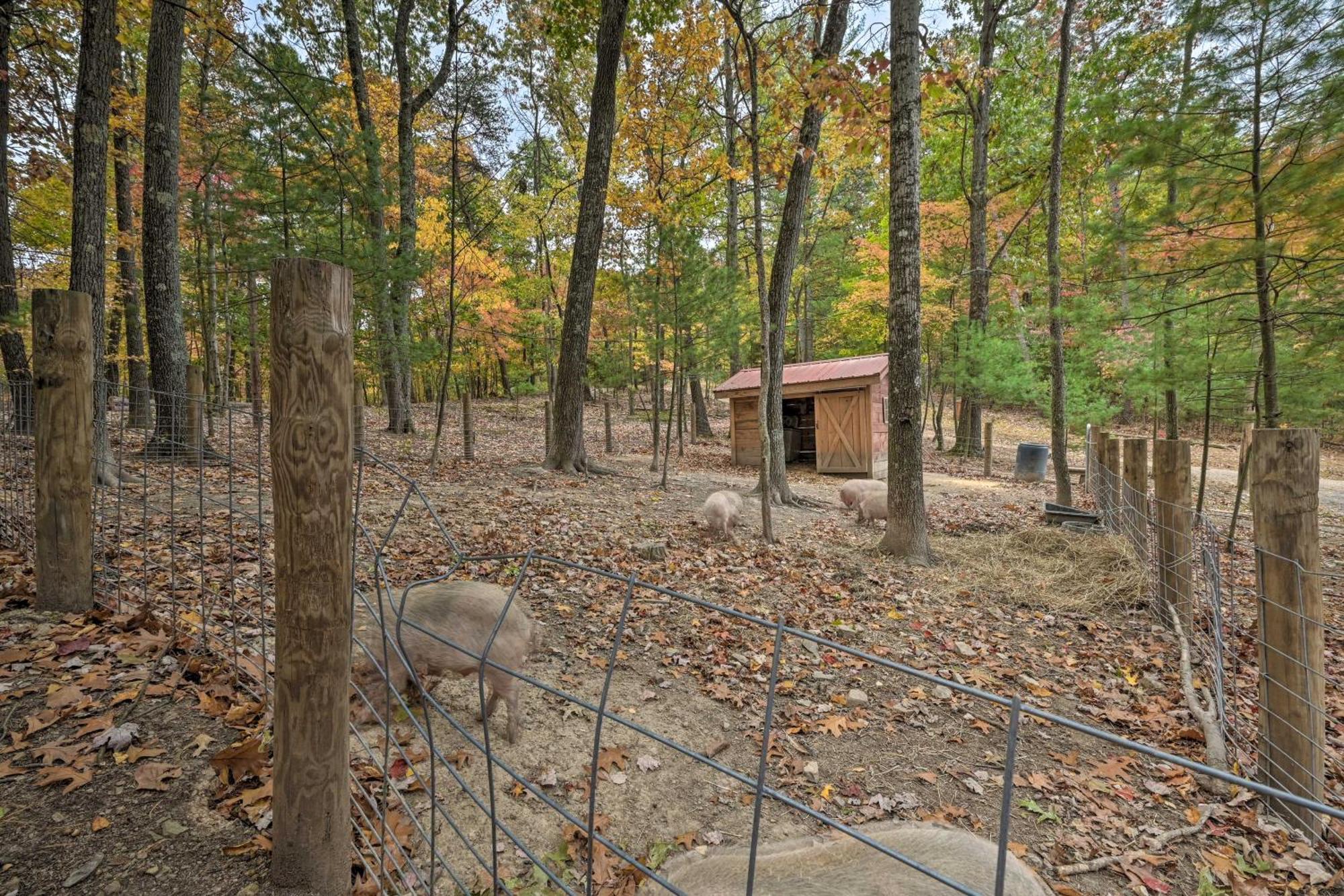 Lone Ranger Cabin With 50 Acres By Raystown Lake Huntingdon Εξωτερικό φωτογραφία