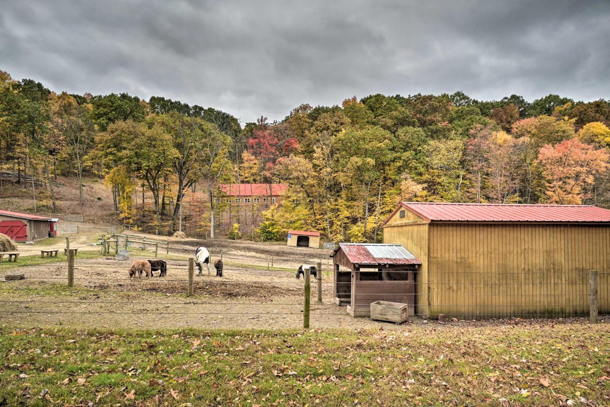Lone Ranger Cabin With 50 Acres By Raystown Lake Huntingdon Εξωτερικό φωτογραφία