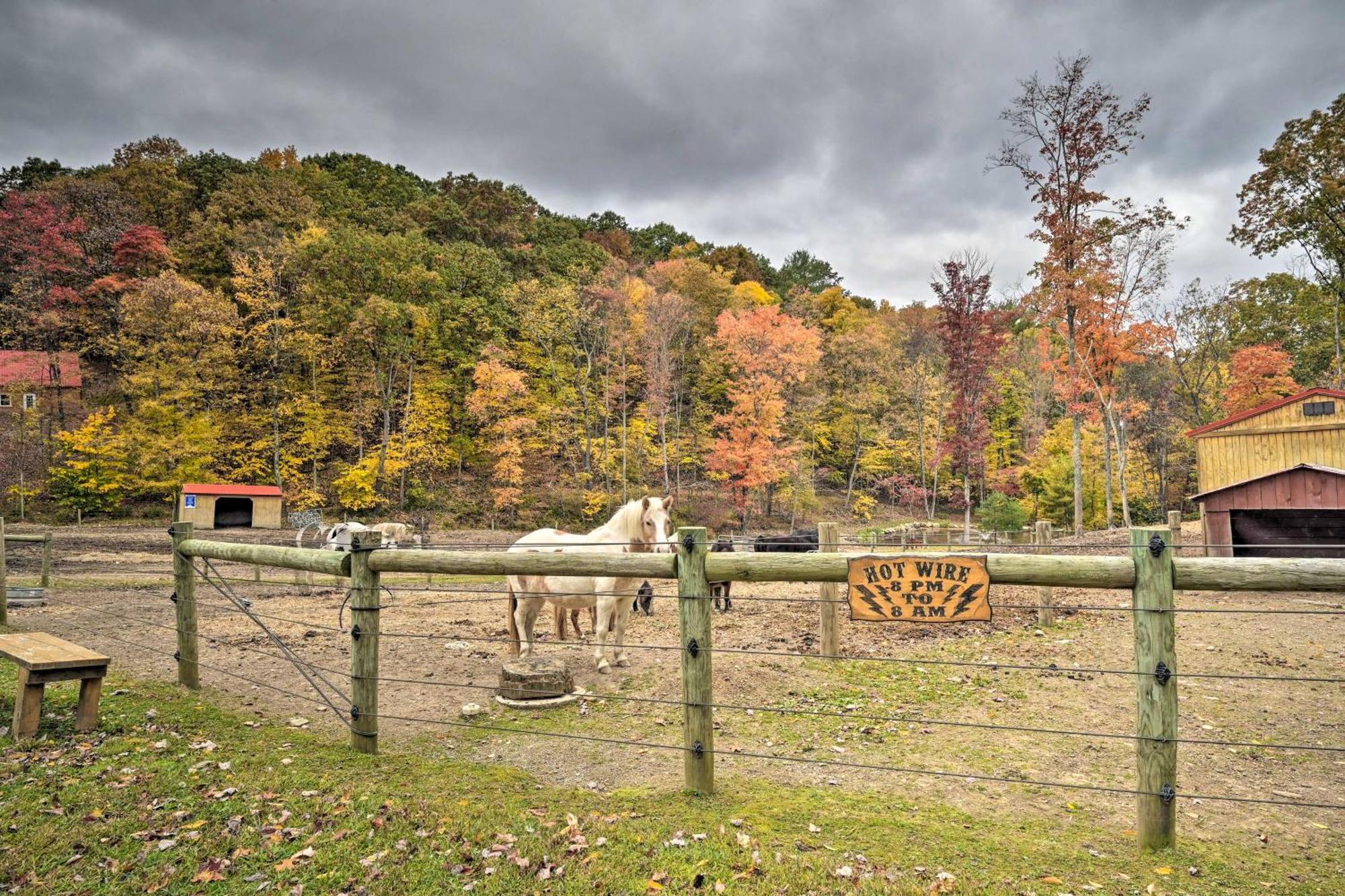 Lone Ranger Cabin With 50 Acres By Raystown Lake Huntingdon Εξωτερικό φωτογραφία